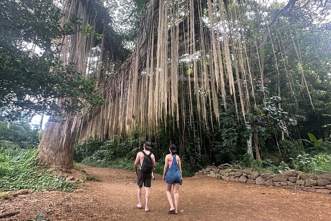 Island of Maui Customized Half Day Tour - Picking your Maui route: Road to Hāna, Haleakalā, and cliff-time options