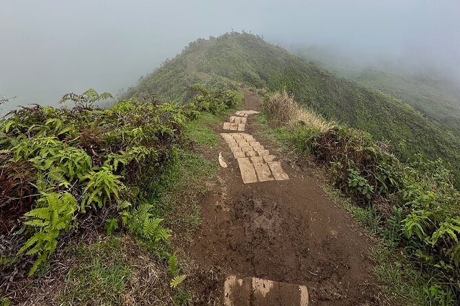 Island of Maui Customized Half Day Tour - Who this Maui customized half-day tour is best for