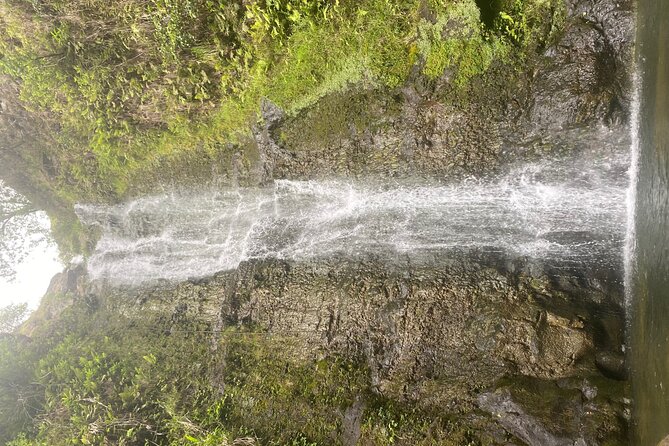 Island of Maui Customized Half Day Tour - The private guide, plus a photo plan that reduces stress