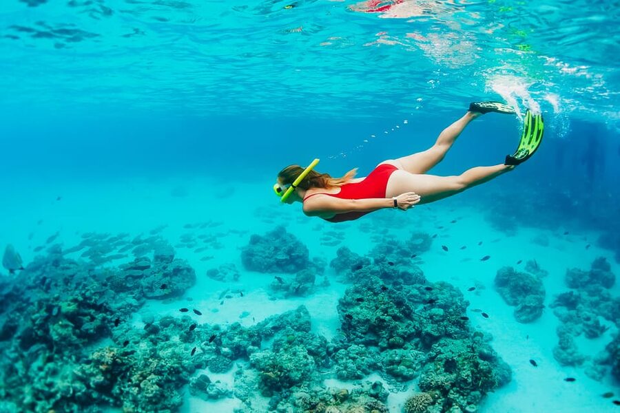 Ka'anapali Beach: Coral Reef Snorkel and Turtle Spotting - Price and value: is $134 per person worth it for 150 minutes?