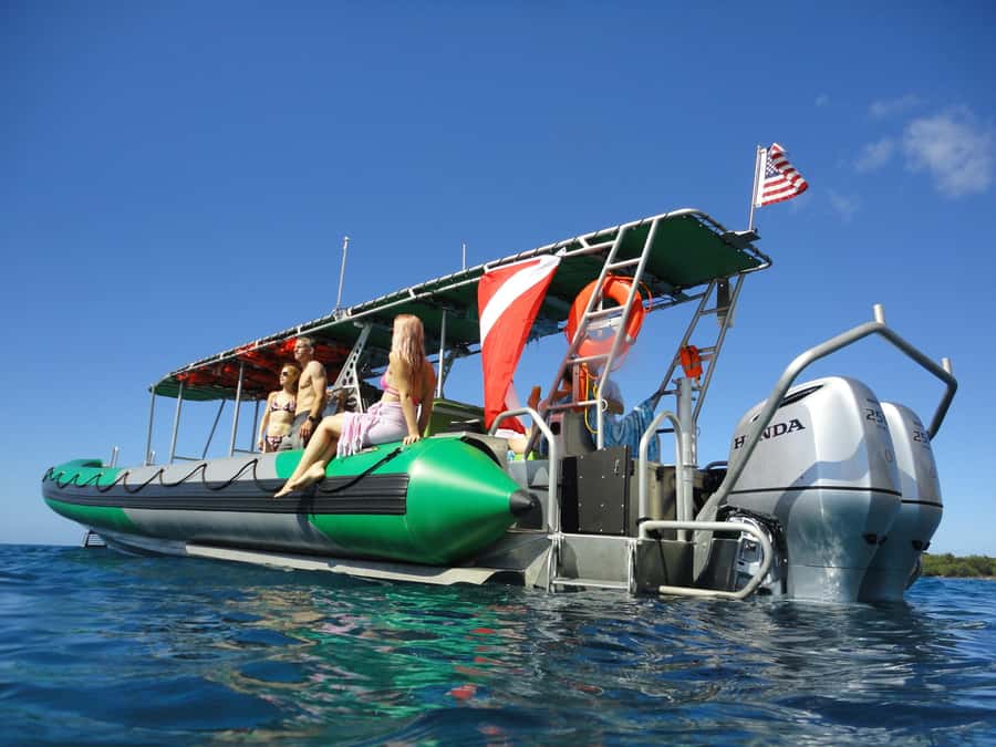 Ka'anapali: Whale Watching Boat Tour - Key highlights you’ll care about
