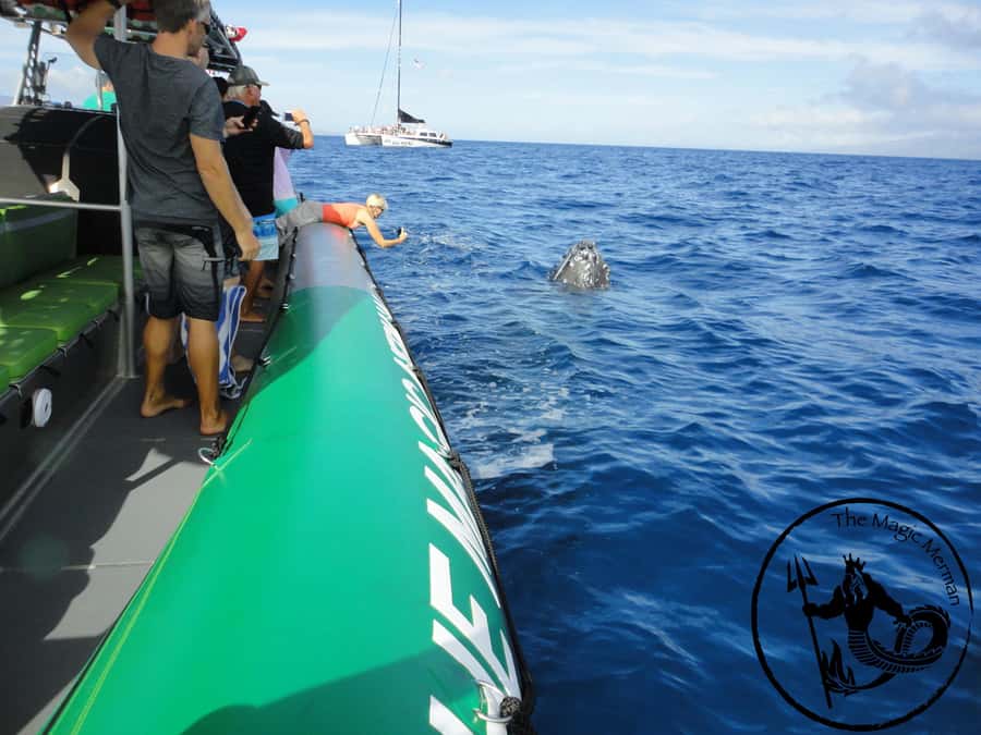 Ka'anapali: Whale Watching Boat Tour - Magic Merman on Kaanapali Beach, the kind of boat that helps you see more