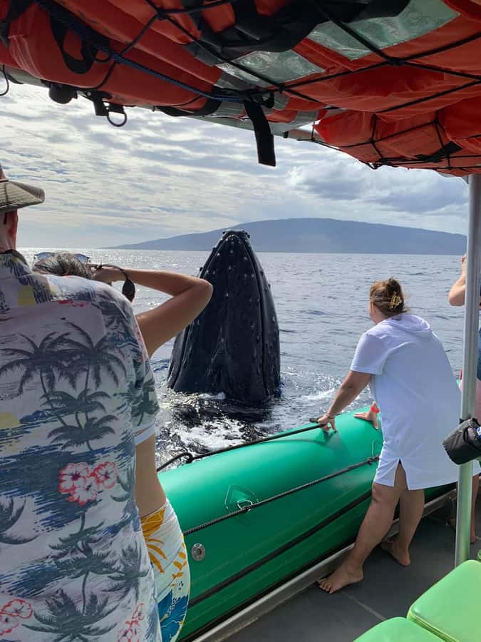 Ka'anapali: Whale Watching Boat Tour - Onboard naturalists, including Shasta and Makia, and why explanations make the trip feel worth it