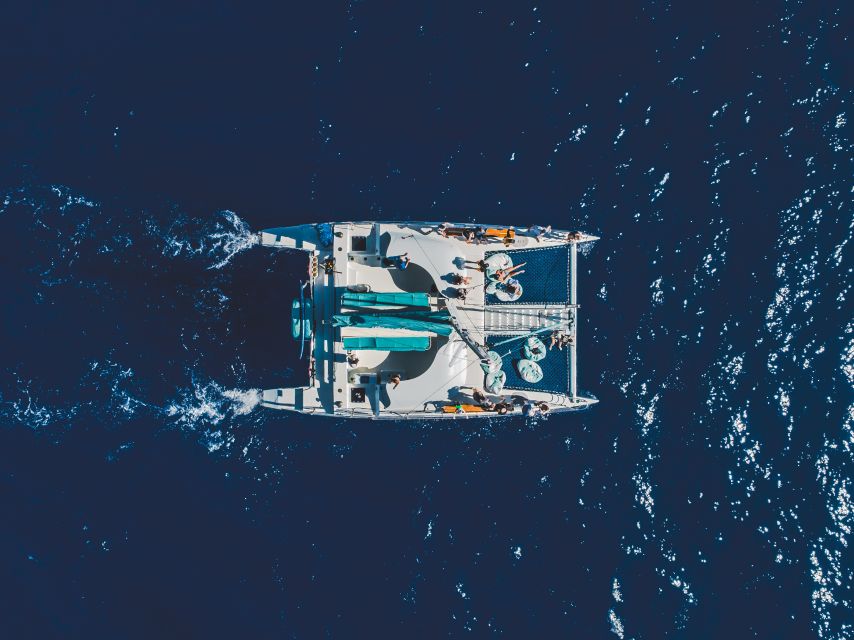 Kaanapali: Whale Watching Cruise with Open Bar - Key things to know before you go