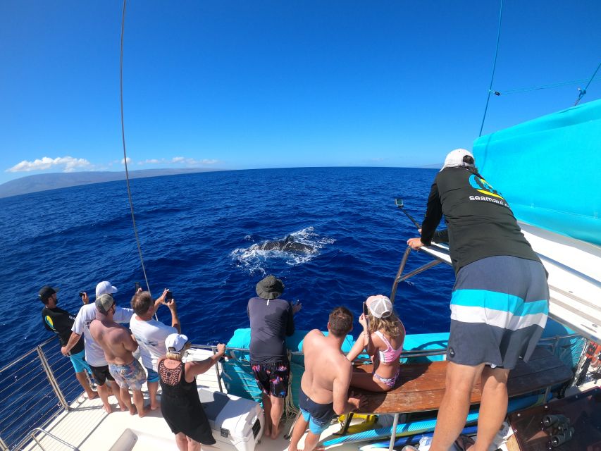 Kaanapali: Whale Watching Cruise with Open Bar - Where Kaanapali whale watching actually pays off