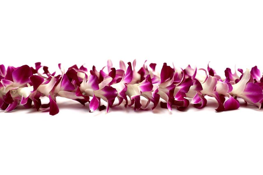 Kahului Airport: Maui Flower Lei Greeting Upon Arrival - From aircraft to lei in minutes