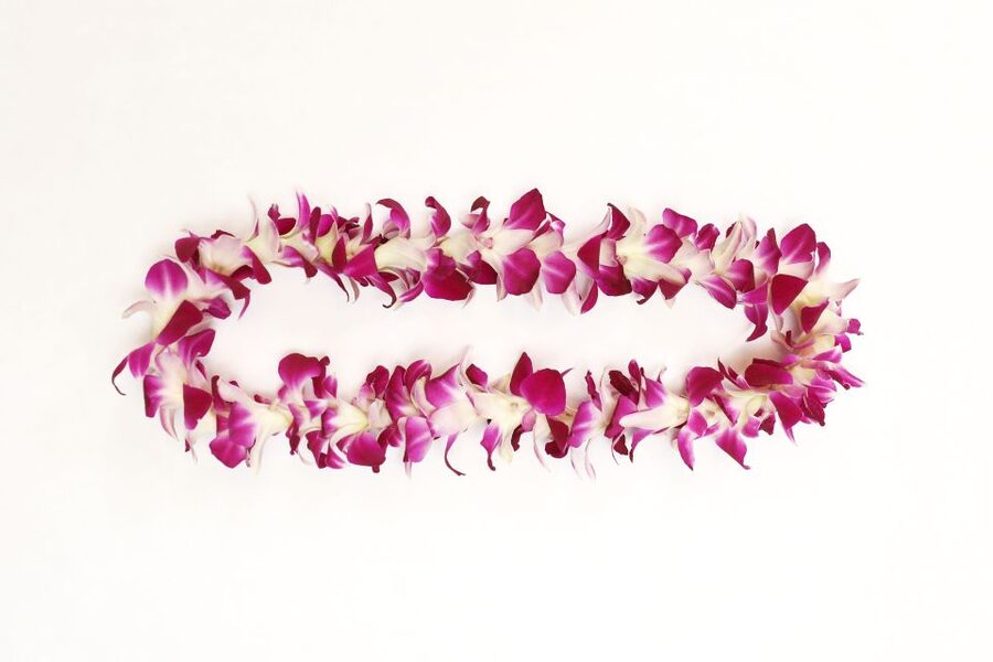 Kahului Airport: Maui Flower Lei Greeting Upon Arrival - Price and value: is $48 per person worth it?