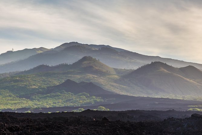 Kahului Shore Excursion: Private Tropics of Maui & Rainforest - A Kahului shore day that actually feels like your day