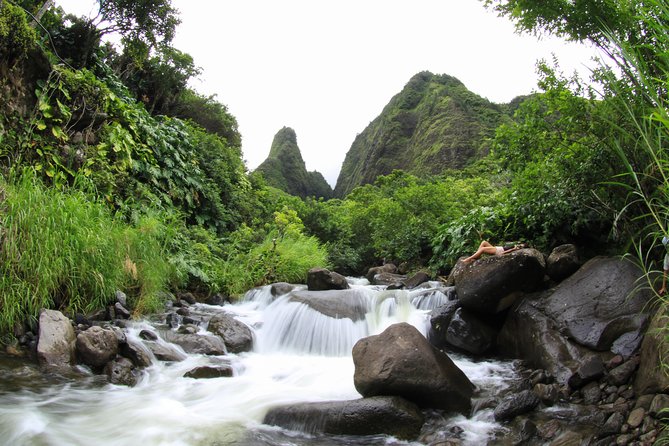 Kahului Shore Excursion: Private Tropics of Maui & Rainforest - Stop 2: Maui Tropical Plantation sugar-era history and easy paths