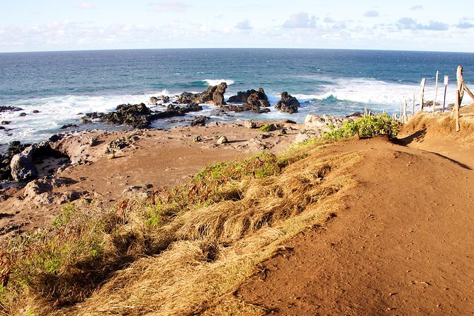 Kahului Shore Excursion: Private Tropics of Maui & Rainforest - Stop 5: Ho’okipa Beach Park, surfers, and sea turtles at the cliff look out