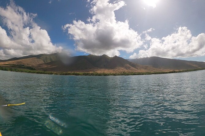 Kayak and Snorkel: Maui West Shore - Maui West Shore, the calm-water plan that still feels like an adventure