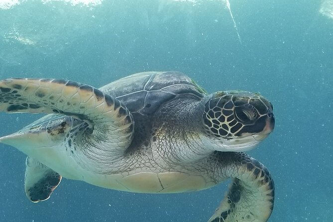 Kayak and Snorkel: Maui West Shore - The paddle along West Maui Mountains: what you’ll see and how it feels