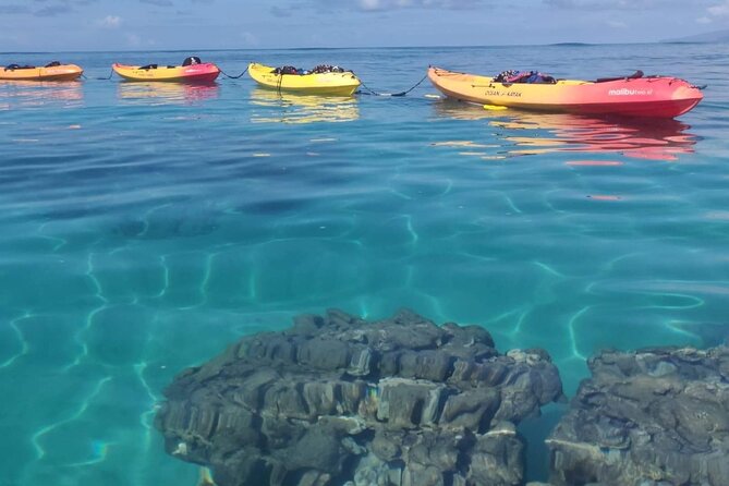 Kayak and Snorkel: Maui West Shore - Reef snorkel: how you spend your 45 minutes under the water