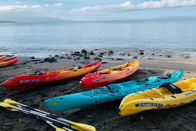 Kayak and Snorkel: Maui West Shore - Timing, sea conditions, and what weather can mean for your day