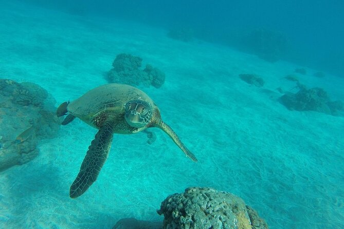 Kayak and Snorkel: Maui West Shore - Who this kayak and snorkel works best for