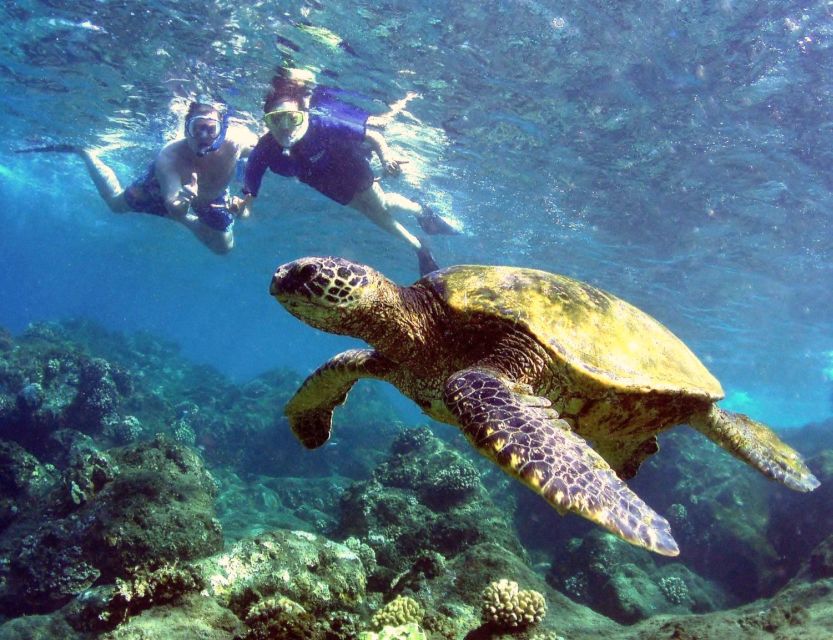 Kayak and Snorkel West Maui at Olowalu - Price and value: why $109 can work for the right traveler