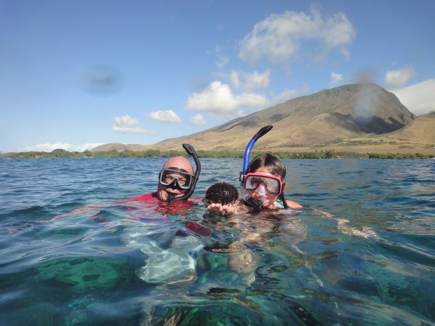 Kayak and Snorkel West Maui at Olowalu - Coral reef and fish spotting: why the guide’s eyes matter