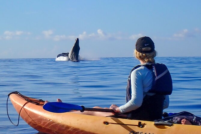 Kayak and Whale Watching Tour - Meet Chris or Kris, and Why Their Spotting Matters