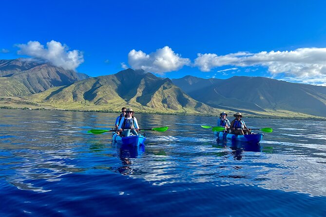 Kayak & Turtle Town Snorkel(Turtles Guaranteed) + Whale Watching - Getting on the water at Olowalu, and why it matters