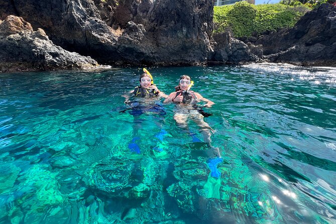 Kayak & Turtle Town Snorkel(Turtles Guaranteed) + Whale Watching - Price, time on the water, and what “value” really means here