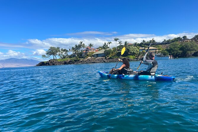 Kayak & Turtle Town Snorkel(Turtles Guaranteed) + Whale Watching - Weather and day-of reality: when the plan might change