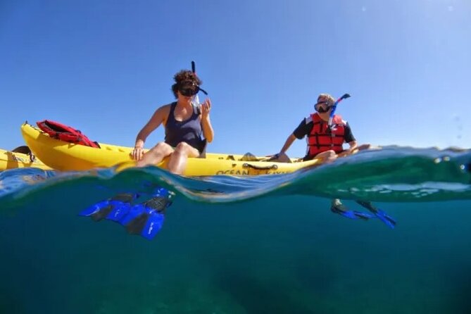 Kayak, Whale Watch and Snorkel - Key Things I’d Plan Around