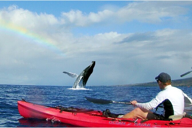 Kayak, Whale Watch and Snorkel - Meet the Guides: Marine Naturalists With Real Safety Training