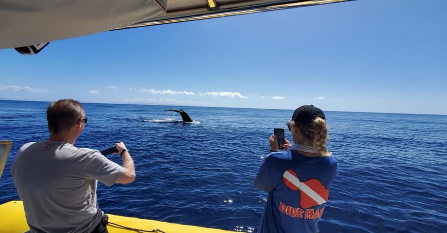 Lahaina: Day or Sunset Whale Watching Tour with Naturalist - The custom-made inflatable raft: close viewing without the big-boat chaos
