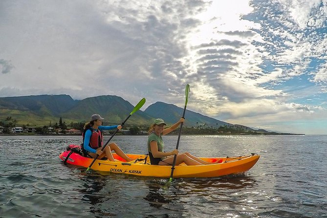 Lahaina Kayak and Snorkel Excursion - Key Things I’d Remember Before You Book