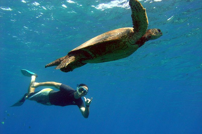 Lahaina Kayak and Snorkel Excursion - Lahaina’s Kayak and Snorkel Combo: Why This Format Works