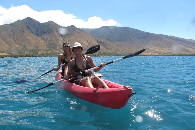 Lahaina Kayak and Snorkel Excursion - The Calm Kayak Paddle: Coast Views, Easygoing Water, and Wildlife Scanning