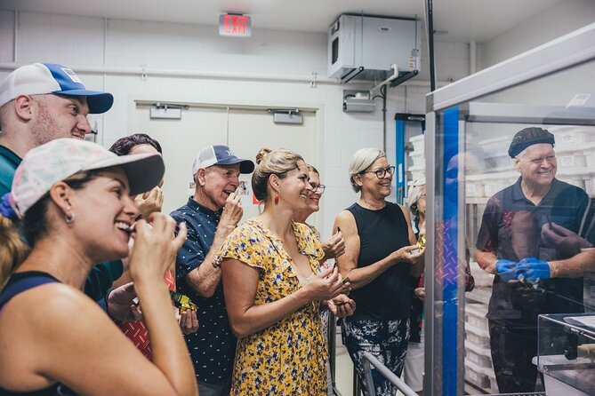 Lahaina Maui Ku'ia Estate Chocolate Factory Experience - Should you book Maui Kuia Estate Chocolate Factory Experience?