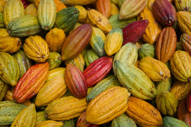 Lahaina: Maui Ku'ia Estate Guided Cacao Farm Tour and Tasting - Mobility and comfort: stairs, walking, and the van reality