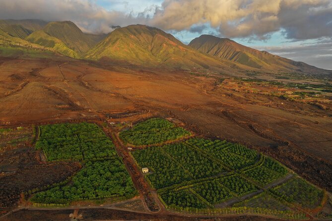 Lahaina: Maui Ku'ia Estate Guided Cacao Farm Tour and Tasting - Who should book this cacao farm and tasting tour