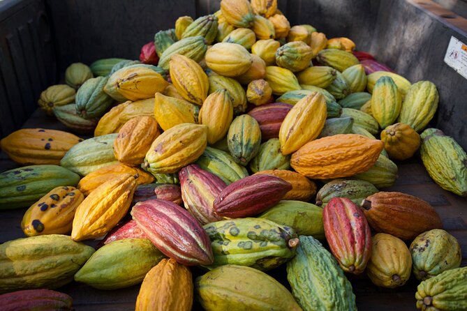 Lahaina: Maui Ku'ia Estate Guided Cacao Farm Tour and Tasting - Smart tips before you go, plus after-tour chocolate tricks