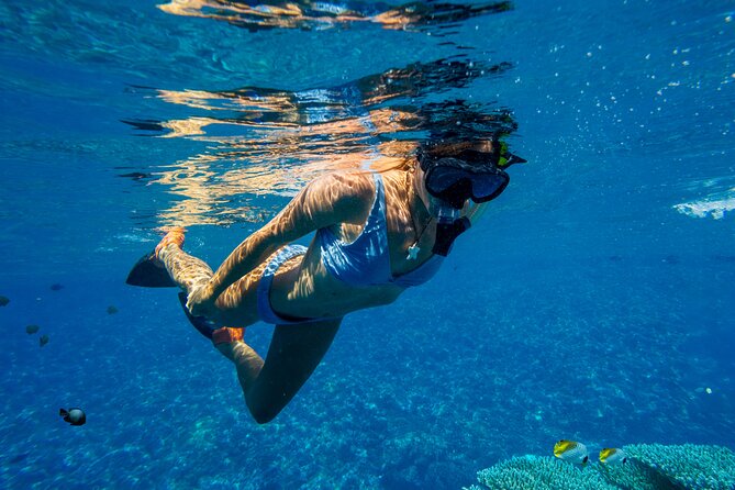 Lāna'i Coast Snorkel and Sail - Who this trip fits best on Maui