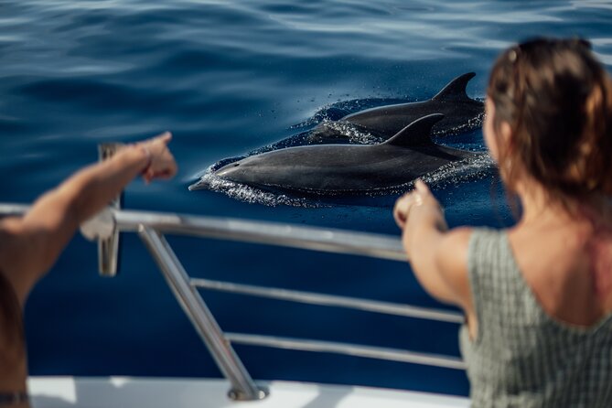 Lana'i Snorkel And Dolphin Quest with Maui Turtle Spot Tour - A half-day boat plan that actually uses your morning time