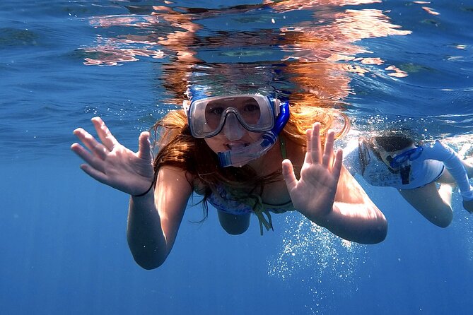 Lana'i Snorkel And Dolphin Quest with Maui Turtle Spot Tour - Dolphin and marine life spotting near Lanai