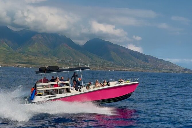 Lana'i Snorkel And Dolphin Quest with Maui Turtle Spot Tour - Second snorkeling stop off West Maui: calmer odds and more sea life