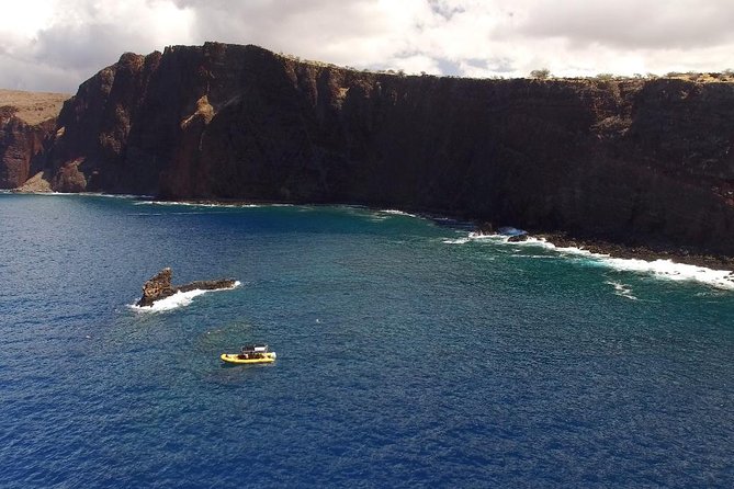 Lanai Deluxe Dolphin Adventure & 3 Snorkel Sites - Key points that matter before you book