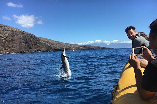 Lanai Deluxe Dolphin Adventure & 3 Snorkel Sites - Why Lanai snorkeling feels more worth your time than another Maui reef stop