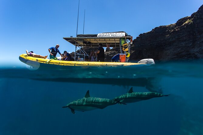 Lanai Deluxe Dolphin Adventure & 3 Snorkel Sites - Boat ride comfort: small-group limits, 75 percent capacity, and sea conditions