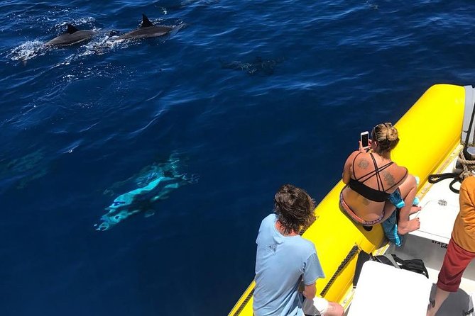 Lanai Deluxe Dolphin Adventure & 3 Snorkel Sites - Who should book this Lanai dolphin and snorkeling tour, and who might skip it