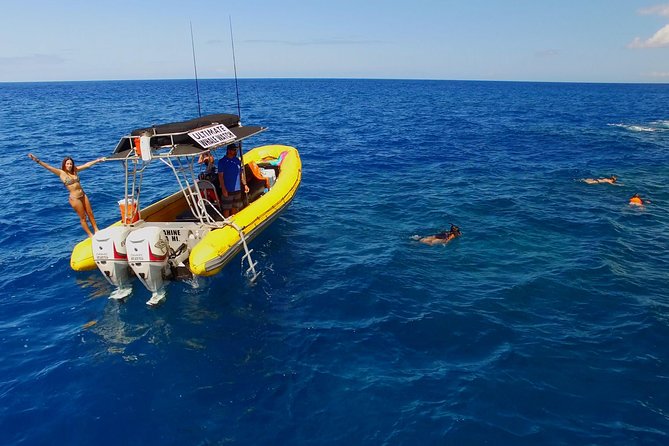 Lanai Deluxe Dolphin Adventure & 3 Snorkel Sites - Your 6-hour plan: what the day looks like from Mala Boat Ramp to the last snorkel