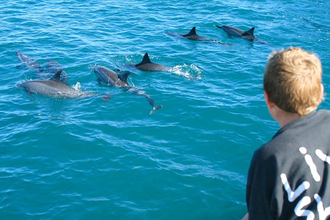 Lanai Snorkel and Dolphin Watch from Maalaea - From Maalaea Harbor to Lanai: how the 5 hours really plays