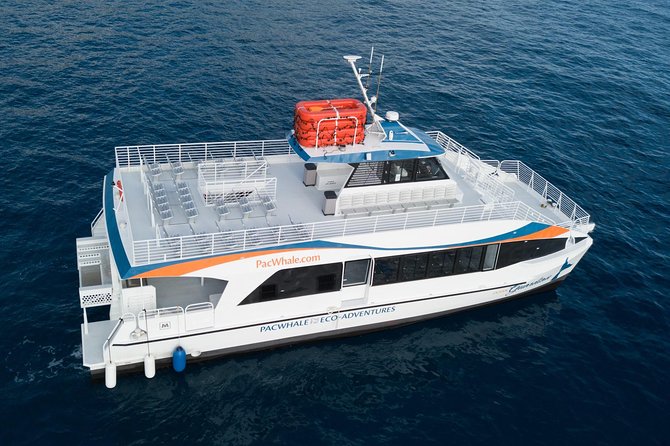 Lanai Snorkel and Dolphin Watch from Maalaea - Who should book this Lanai dolphin snorkel cruise