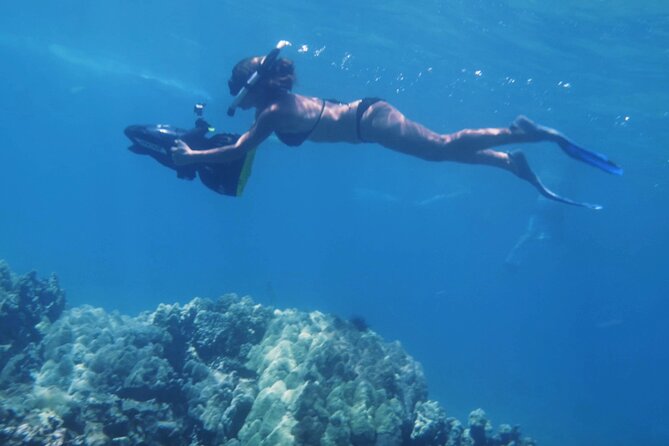 Lanai Snorkeling Half Day with Sea Scooter - Stop 2: whale watching and spinner dolphin searching in season