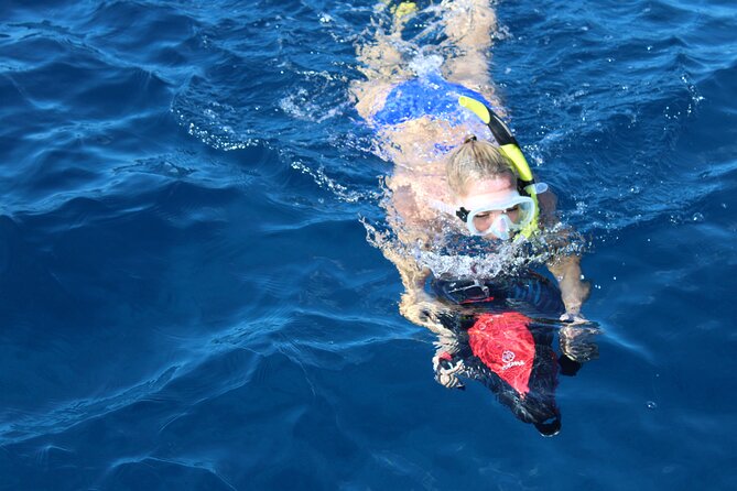 Lanai Snorkeling Half Day with Sea Scooter - Getting started at 2435 Kaanapali Pkwy (and what check-in means)