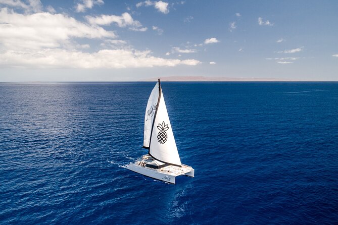 Luxury Catamaran Royal Sunset Dinner Sail (Adults-Only) - Key things I’d circle before you book