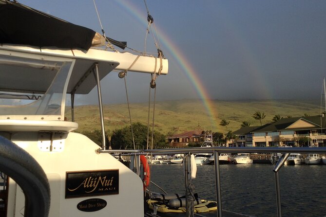 Luxury Catamaran Whale Watch - Practical tips for your day at Maalaea Harbor
